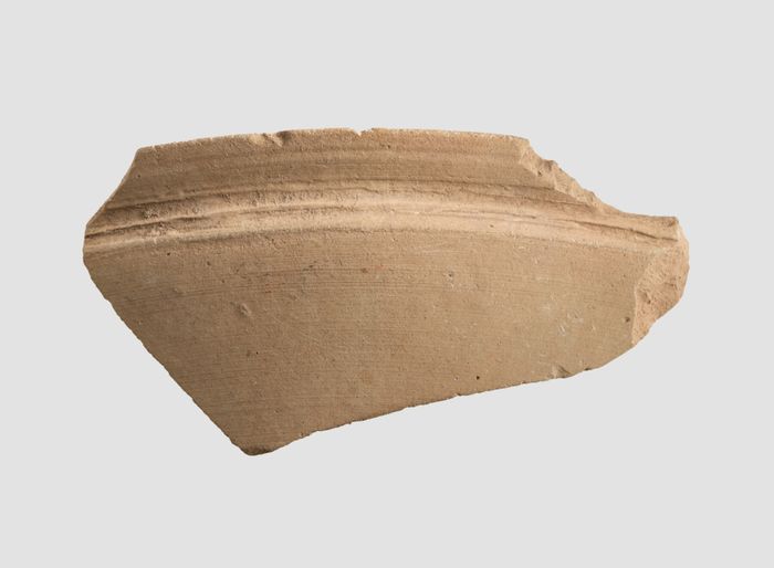Sherd