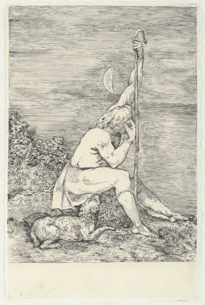 The Shepherd