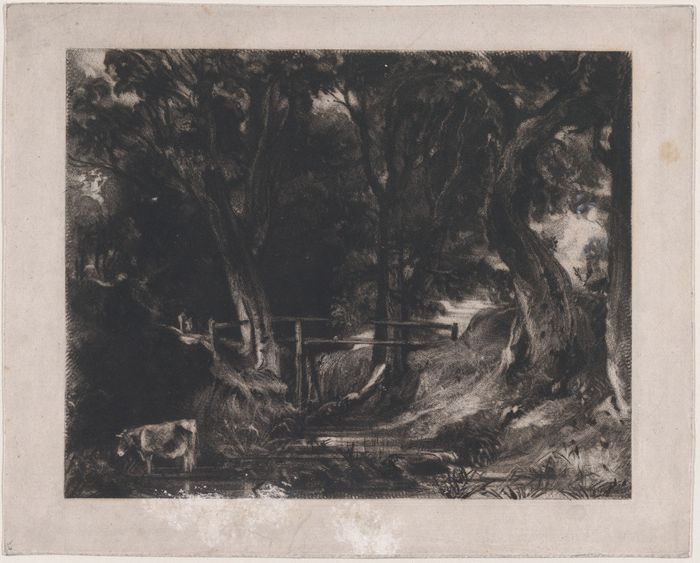 A Dell, Helmingham Park, Suffolk