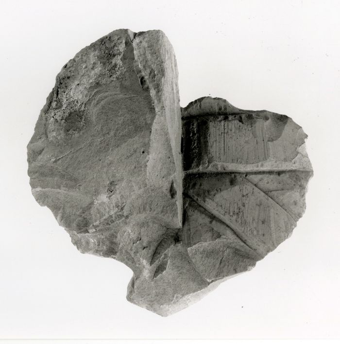 Raised relief fragment