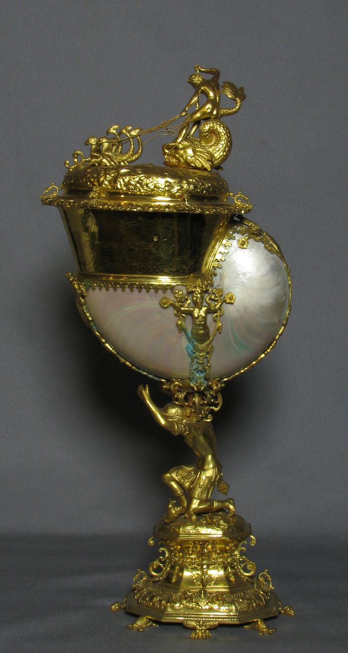 Nautilus shell cup with cover