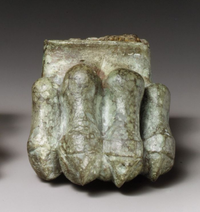 Bronze lion paw