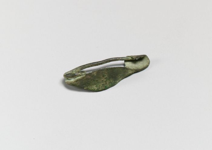 Fibula