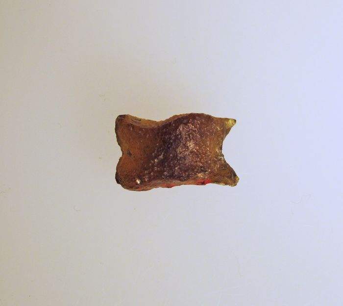 Glass astragal (knucklebone)