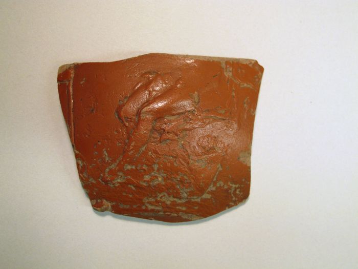 Vase fragment