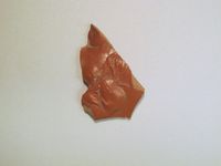 Terracotta fragment of a kylix (drinking cup)