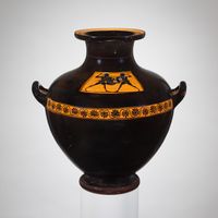 Fibula