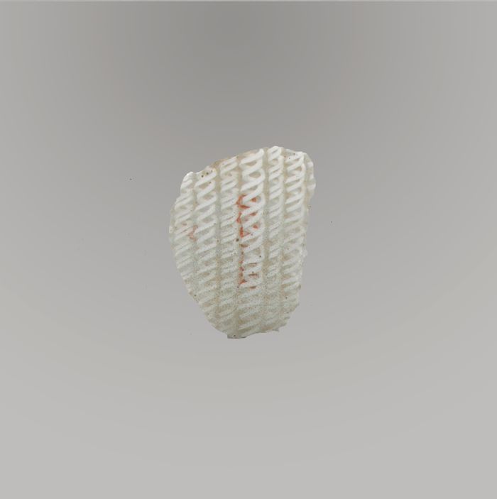 Glass network mosaic fragment