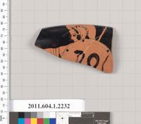 Terracotta fragments of a kylix (drinking cup)