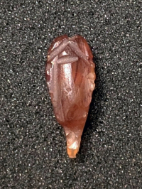 amulet; scaraboid