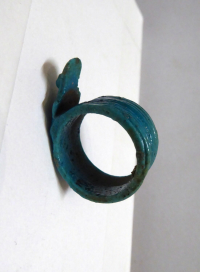 Thumbnail image for aegis ring