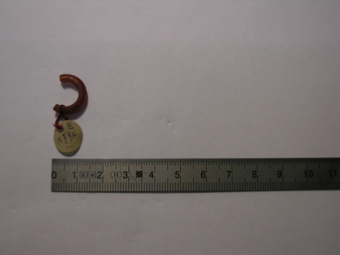 earring