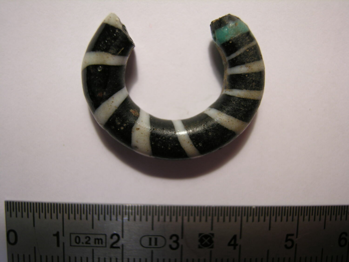 cut ring earring