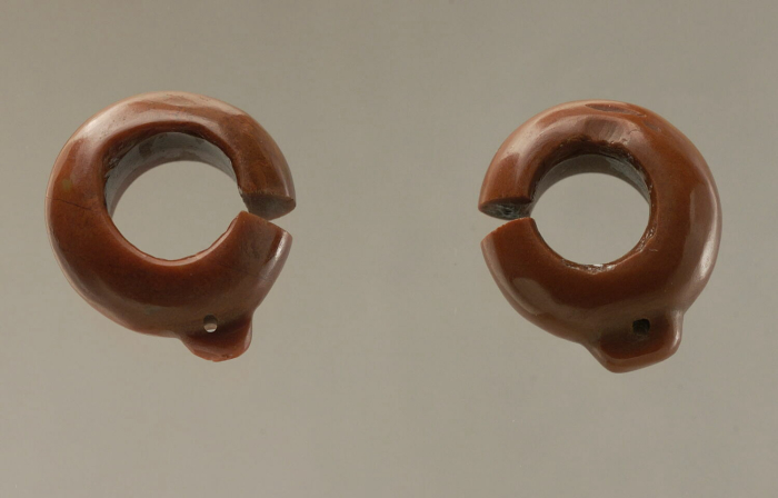 cut ring pendant earring