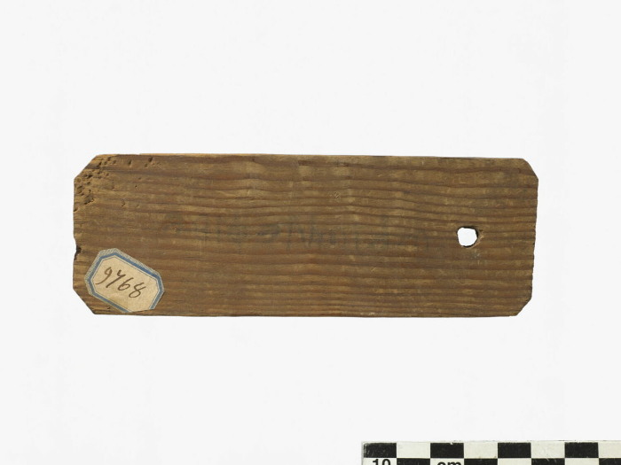 rectangular mummy label