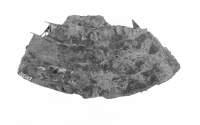 Thumbnail image for collar; pectoral