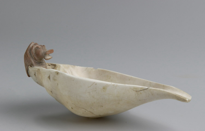 powder spoon; cup