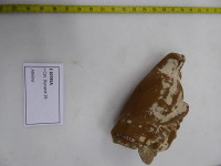 Thumbnail image for figure