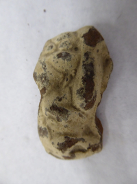 toad