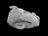 Thumbnail image for mummy mask