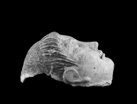 Thumbnail image for mummy mask