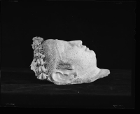 Thumbnail image for mummy mask