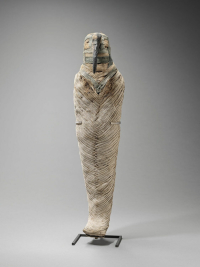 Thumbnail image for ibis mummy
