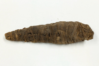 Thumbnail image for bird mummy