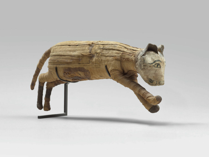 cat mummy