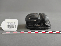 Thumbnail image for casting; beetle