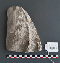 mummified funerary servant