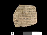 Thumbnail image for ostracon