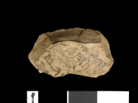 Thumbnail image for ostracon