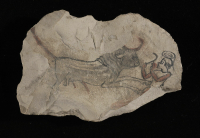 Thumbnail image for figurative ostracon