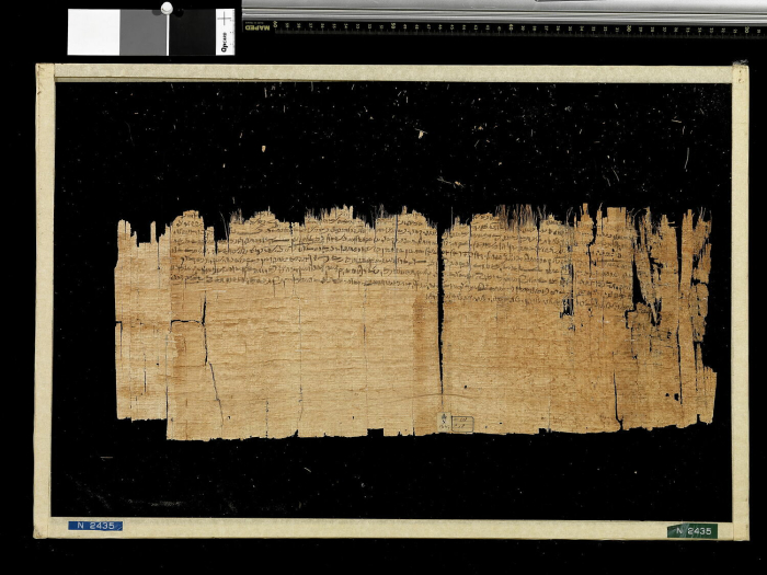 documentary papyrus