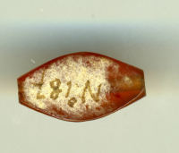 Thumbnail image for half olive pearl