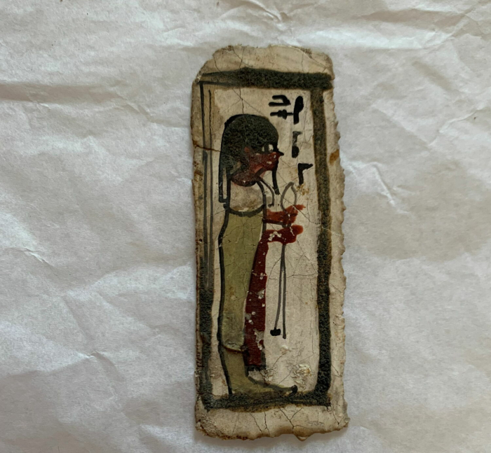 cardboard plate