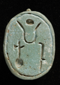 Thumbnail image for scaraboid