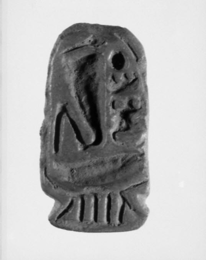 scaraboid; fasciculated seal