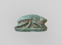 Thumbnail image for beetle