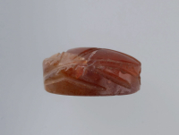 Thumbnail image for beetle