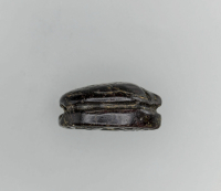 Thumbnail image for beetle