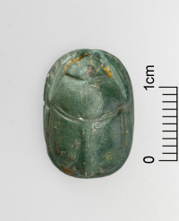 Thumbnail image for beetle