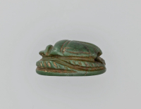 Thumbnail image for beetle
