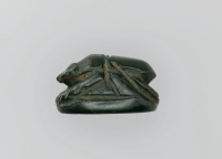 Thumbnail image for beetle