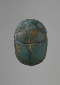 Thumbnail image for scarabée
