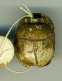 mummified funerary servant