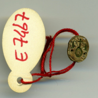 Thumbnail image for beetle