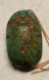 Thumbnail image for beetle