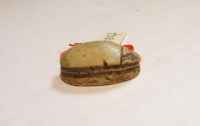 Thumbnail image for beetle